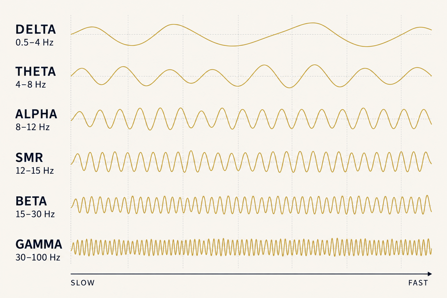 The frequency bands from slow to fast, delta, theta, alpha, SMR, beta and gamma, drawn as waveforms