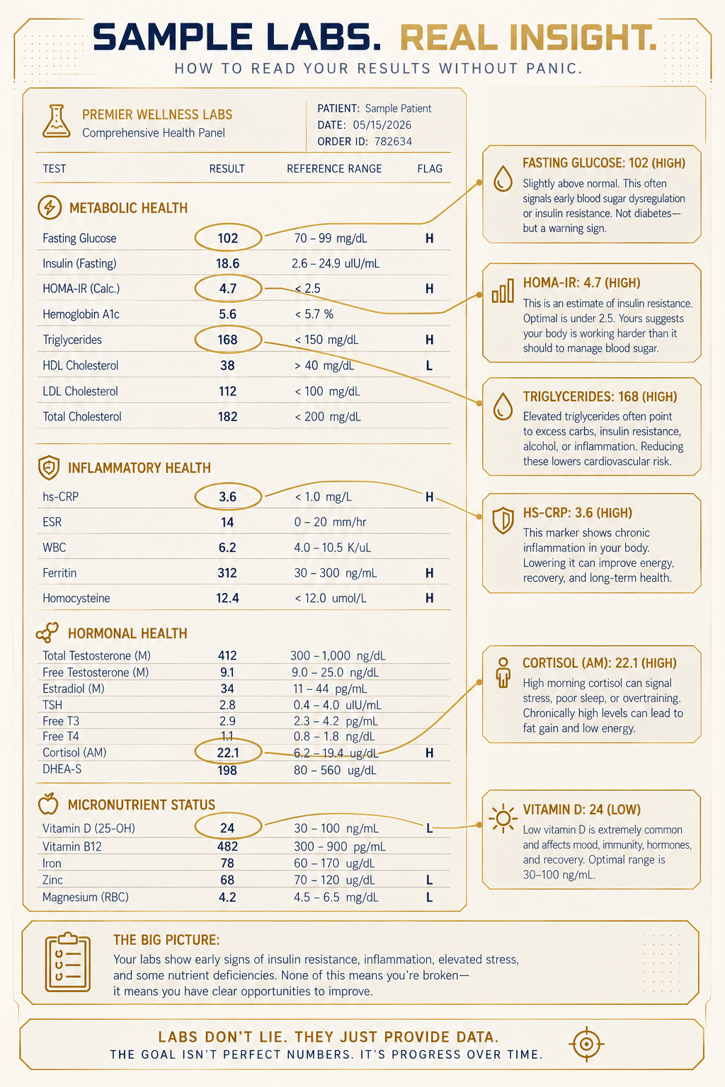 Sample laboratory report, metabolic, inflammatory, hormonal and micronutrient markers with plain-English notes on each flagged result