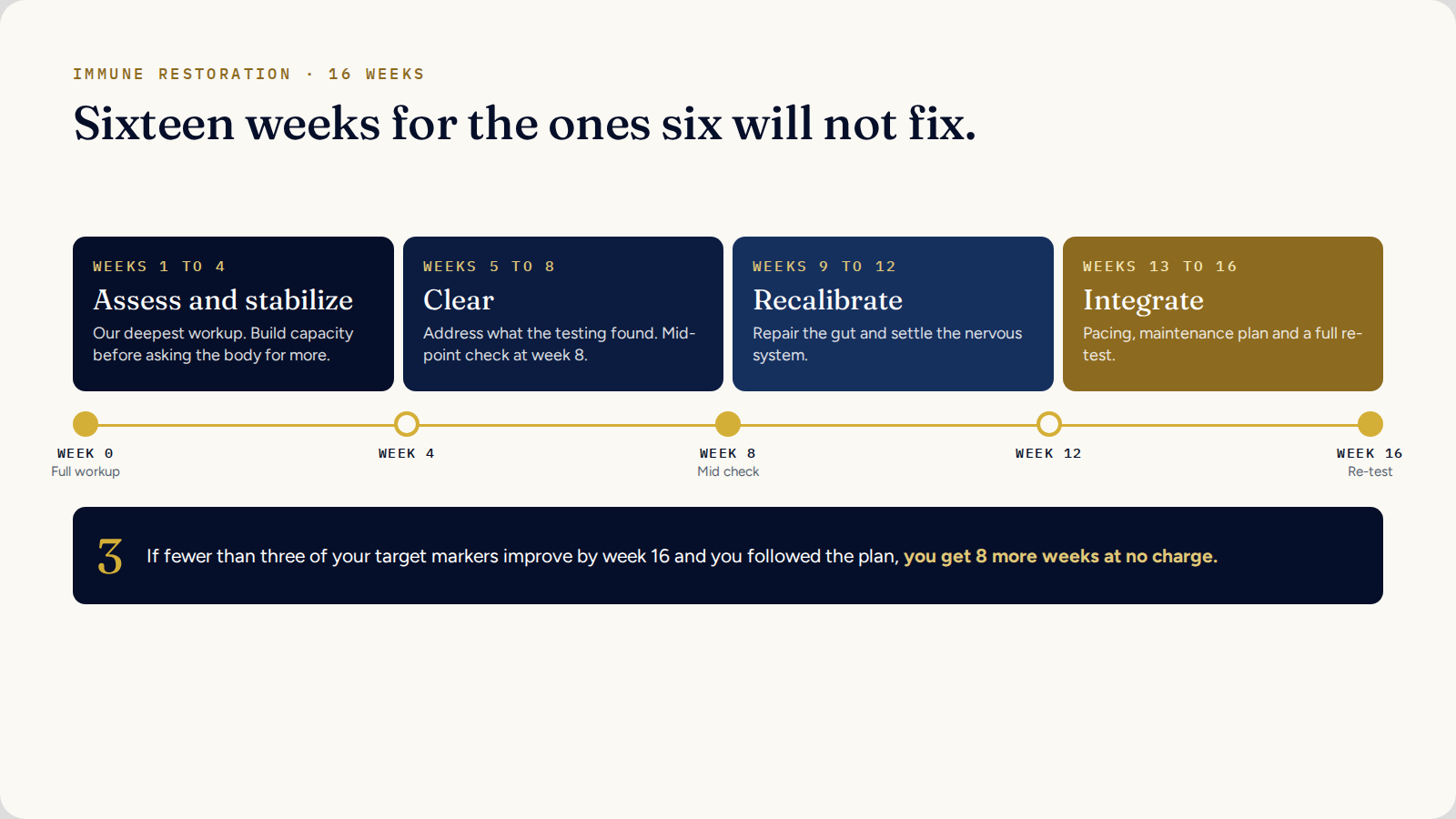 Immune Restoration 16 week timeline in four phases with the results commitment