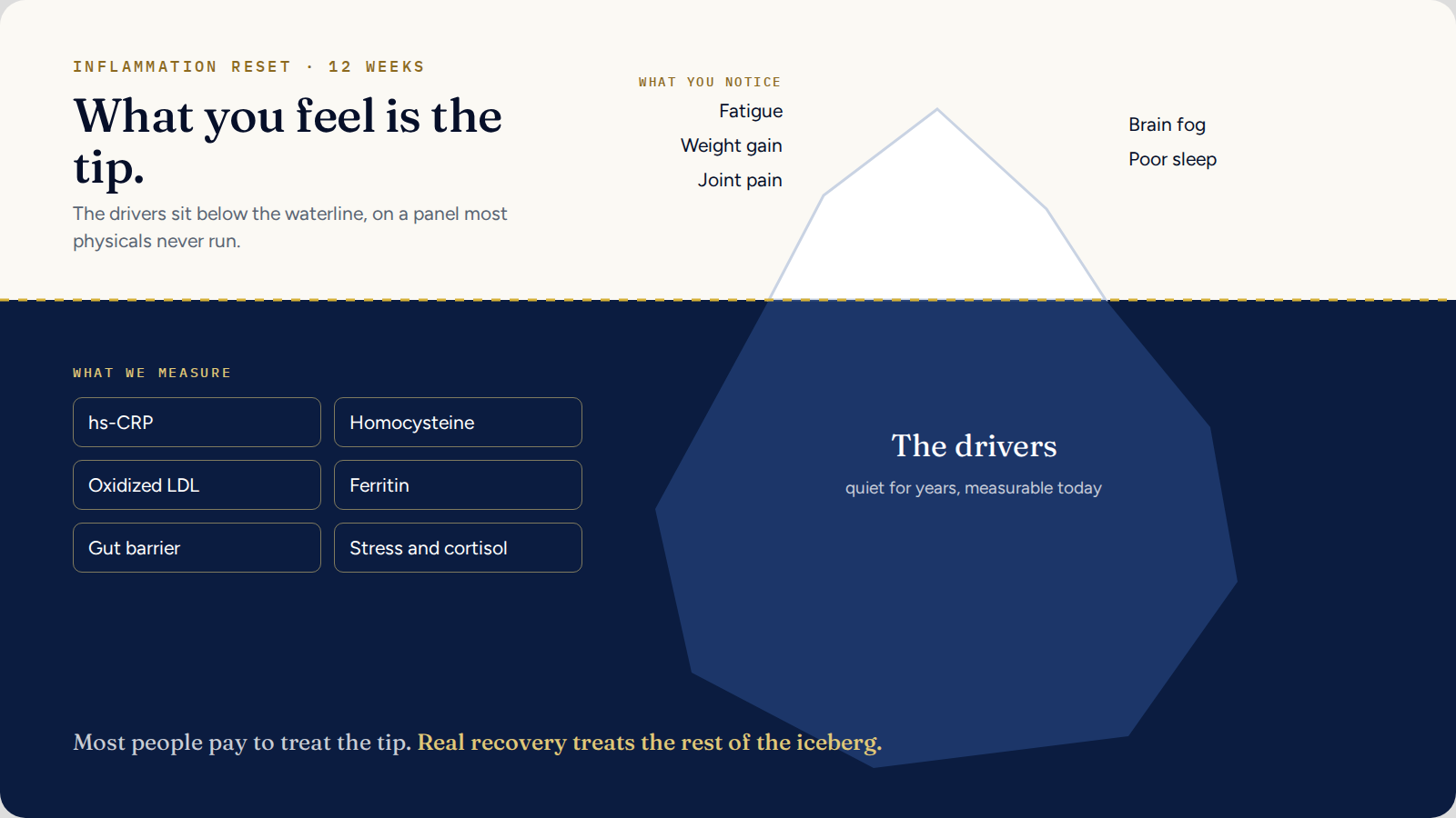 Inflammation iceberg: symptoms above the waterline, measurable drivers below