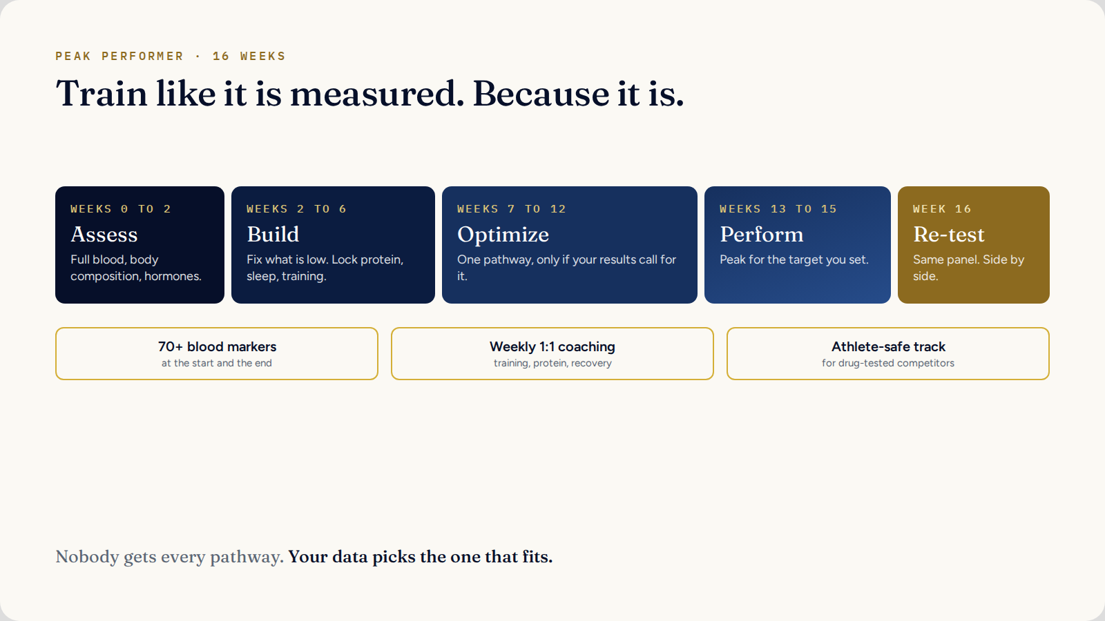 Peak Performer 16 week timeline: assess, build, optimize, perform, re-test