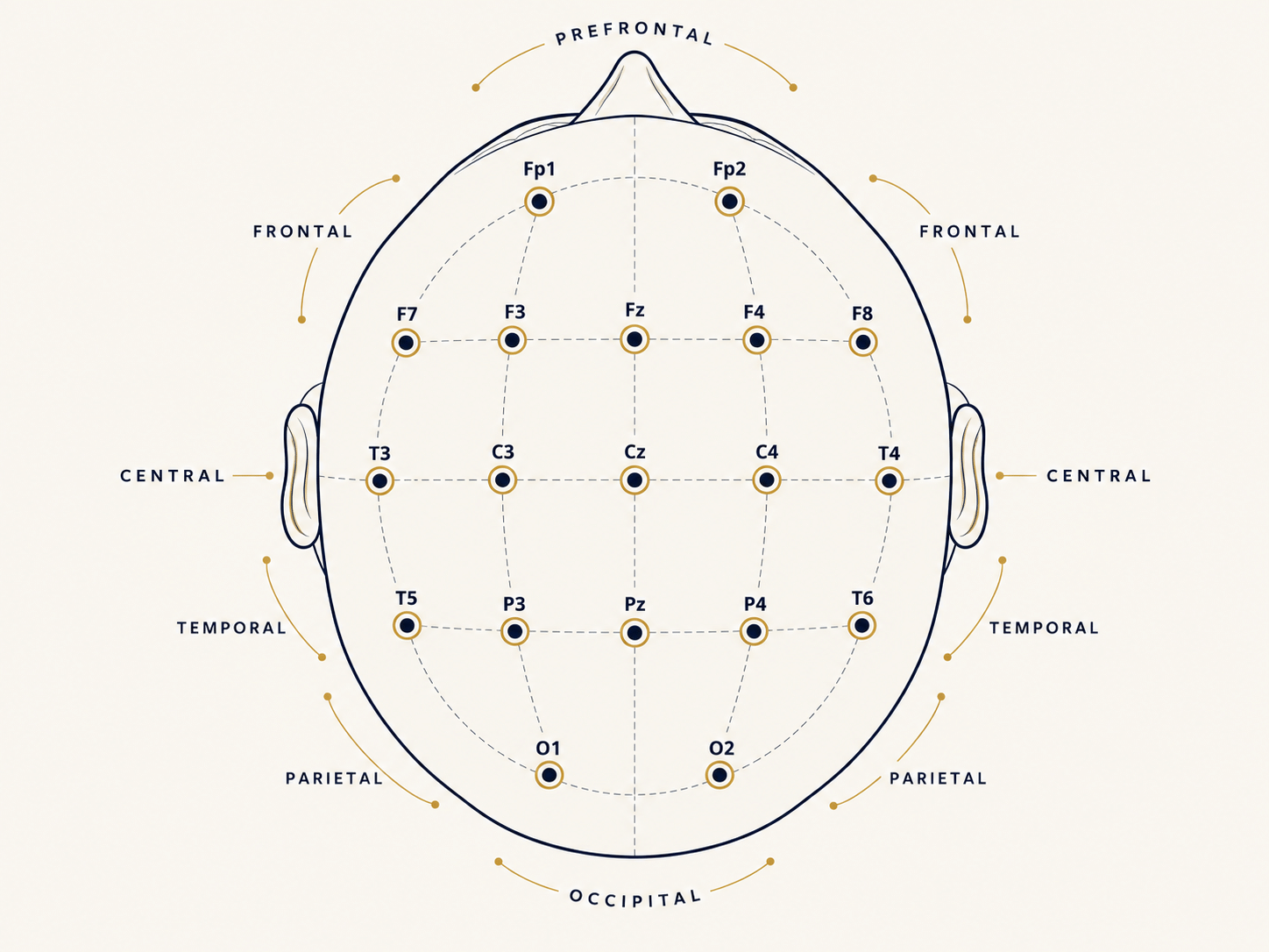Standard 10-20 sensor placement seen from above, prefrontal, frontal, central, temporal, parietal and occipital positions